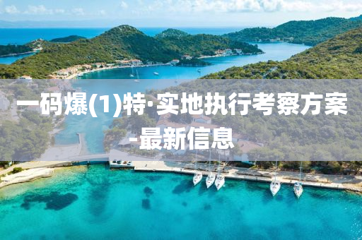 一码爆(1)特·实地执行考察方案-最新信息