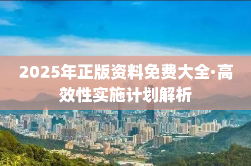 2025年正版资料免费大全·高效性实施计划解析