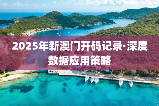 2025年新澳门开码记录·深度数据应用策略