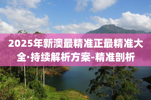 2025年新澳最精准正最精准大全·持续解析方案-精准剖析