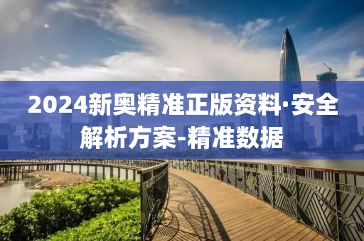 2024新奥精准正版资料·安全解析方案