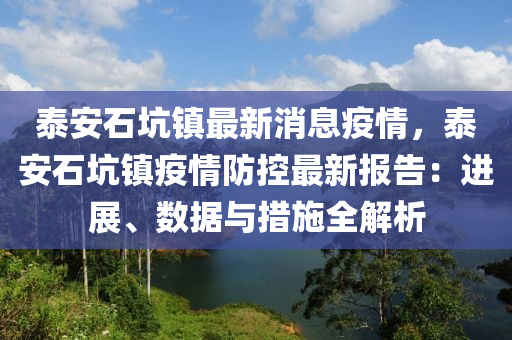 泰安石坑镇最新消息疫情，泰安石坑镇疫情防控最新报告：进展、数据与措施全解析