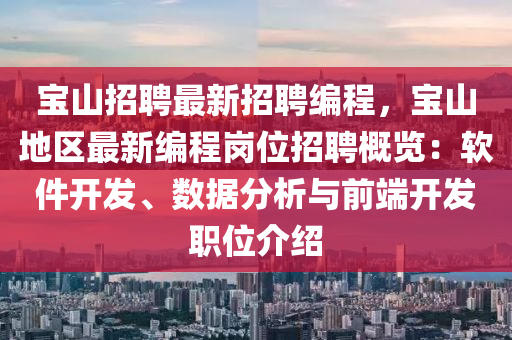 宝山招聘最新招聘编程，宝山地区最新编程岗位招聘概览：软件开发、数据分析与前端开发职位介绍