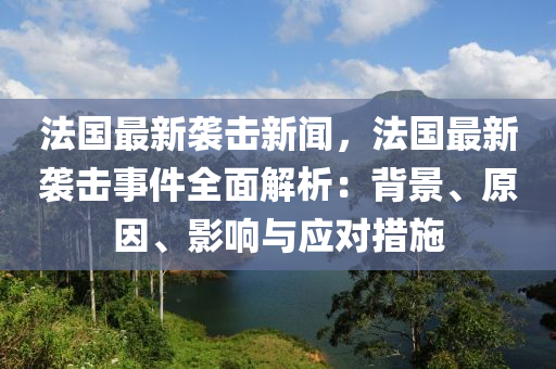 法国最新袭击新闻，法国最新袭击事件全面解析：背景、原因、影响与应对措施