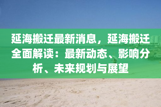 延海搬迁最新消息，延海搬迁全面解读：最新动态、影响分析、未来规划与展望