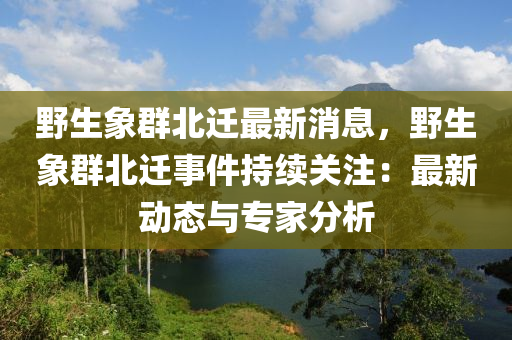 野生象群北迁最新消息，野生象群北迁事件持续关注：最新动态与专家分析