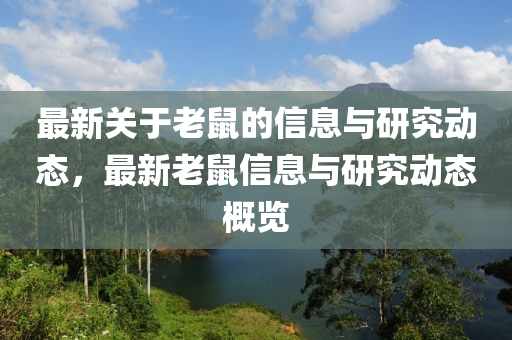 最新关于老鼠的信息与研究动态，最新老鼠信息与研究动态概览
