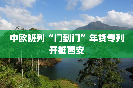 中欧班列“门到门”年货专列开抵西安