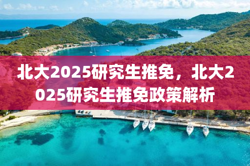 北大2025研究生推免，北大2025研究生推免政策解析