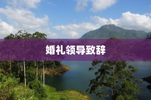 婚礼领导致辞