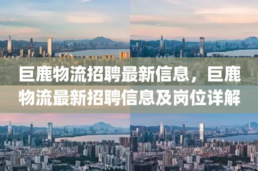 巨鹿物流招聘最新信息，巨鹿物流最新招聘信息及岗位详解