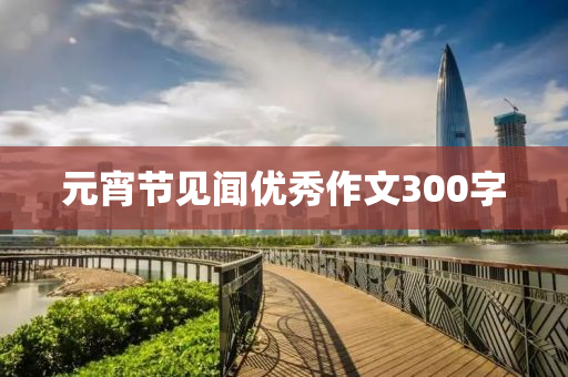 元宵节见闻优秀作文300字