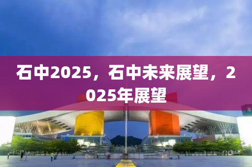 石中2025，石中未来展望，2025年展望