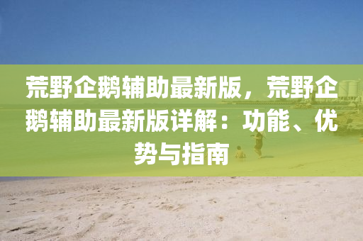 荒野企鹅辅助最新版，荒野企鹅辅助最新版详解：功能、优势与指南