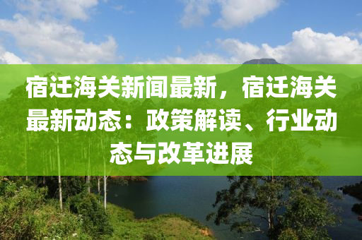 宿迁海关新闻最新，宿迁海关最新动态：政策解读、行业动态与改革进展