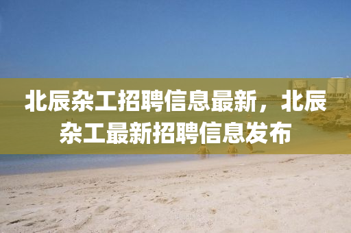 北辰杂工招聘信息最新，北辰杂工最新招聘信息发布