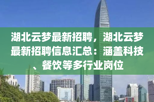 湖北云梦最新招聘，湖北云梦最新招聘信息汇总：涵盖科技、餐饮等多行业岗位