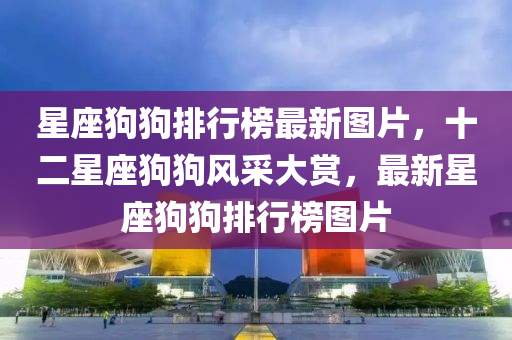 星座狗狗排行榜最新图片，十二星座狗狗风采大赏，最新星座狗狗排行榜图片