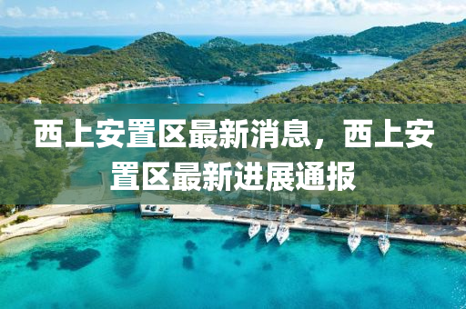 西上安置区最新消息，西上安置区最新进展通报