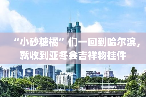 “小砂糖橘”们一回到哈尔滨，就收到亚冬会吉祥物挂件
