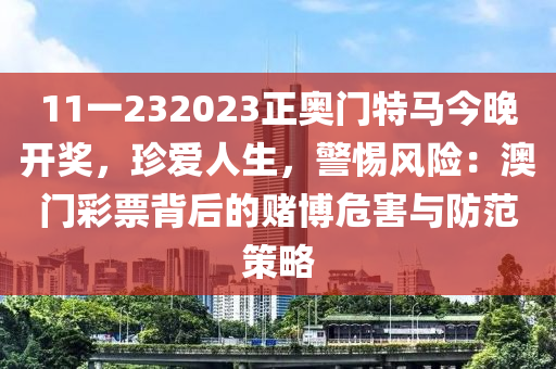 2024年12月6日 第26页