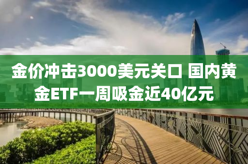 金价冲击3000美元关口 国内黄金ETF一周吸金近40亿元