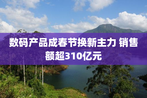 数码产品成春节换新主力 销售额超310亿元