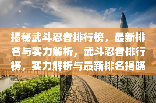 揭秘武斗忍者排行榜，最新排名与实力解析，武斗忍者排行榜，实力解析与最新排名揭晓