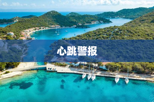 2025年2月16日 第53页