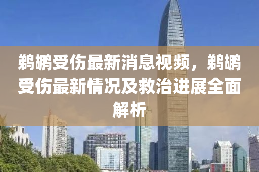 鹈鹕受伤最新消息视频，鹈鹕受伤最新情况及救治进展全面解析