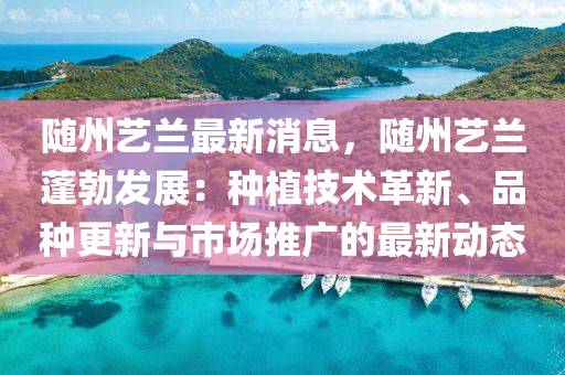 随州艺兰最新消息，随州艺兰蓬勃发展：种植技术革新、品种更新与市场推广的最新动态