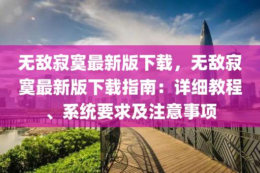 无敌寂寞最新版下载，无敌寂寞最新版下载指南：详细教程、系统要求及注意事项