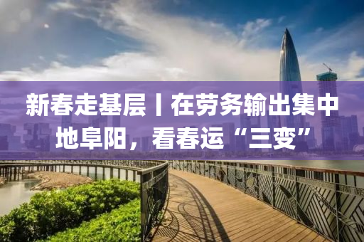 新春走基层丨在劳务输出集中地阜阳，看春运“三变”