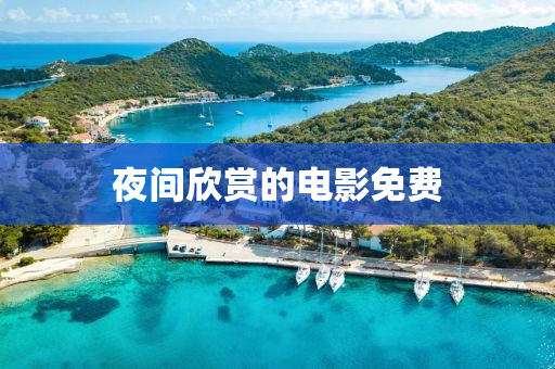 夜间欣赏的电影免费