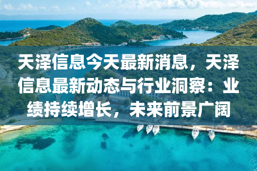 天泽信息今天最新消息，天泽信息最新动态与行业洞察：业绩持续增长，未来前景广阔