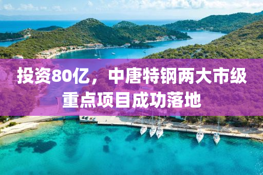 投资80亿，中唐特钢两大市级重点项目成功落地