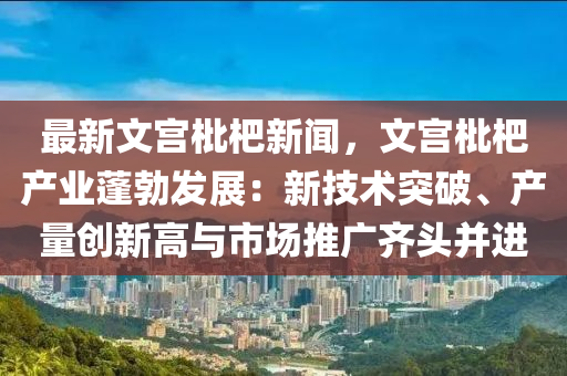 2025年2月16日 第16页