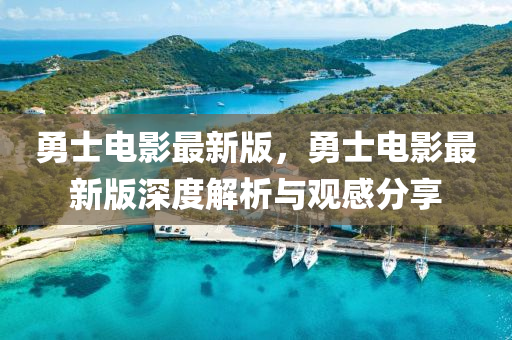 勇士电影最新版，勇士电影最新版深度解析与观感分享