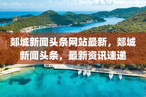 郯城新闻头条网站最新，郯城新闻头条，最新资讯速递
