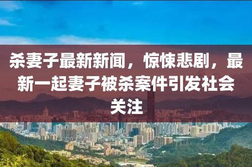 杀妻子最新新闻，惊悚悲剧，最新一起妻子被杀案件引发社会关注
