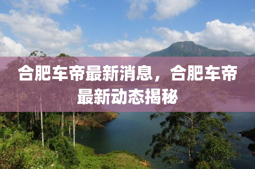 合肥车帝最新消息，合肥车帝最新动态揭秘
