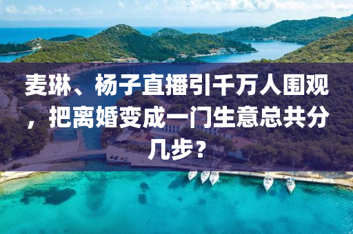 麦琳、杨子直播引千万人围观，把离婚变成一门生意总共分几步？