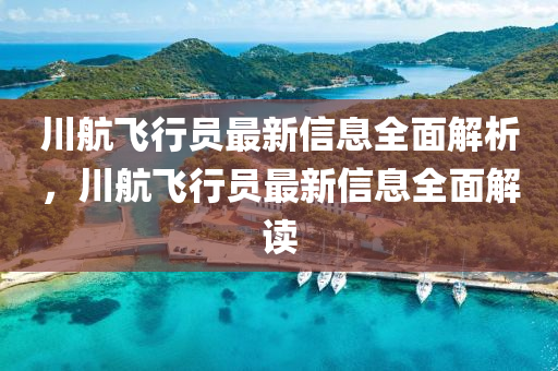 2024年12月1日 第31页