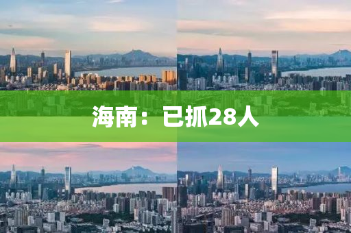 海南：已抓28人