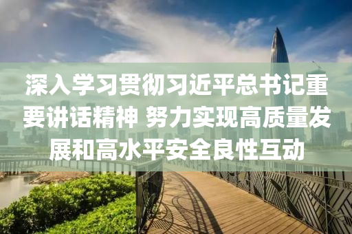 深入学习贯彻习近平总书记重要讲话精神 努力实现高质量发展和高水平安全良性互动