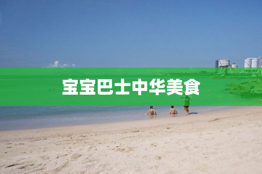 宝宝巴士中华美食