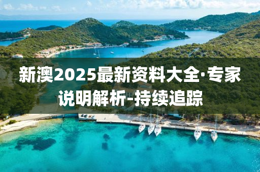 新澳2025最新资料大全·专家说明解析-持续追踪