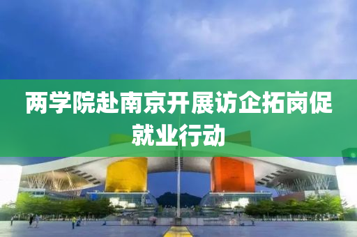 两学院赴南京开展访企拓岗促就业行动