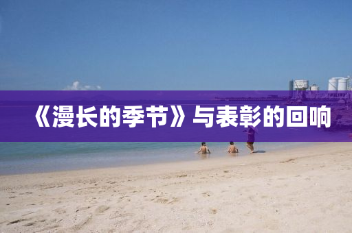 《漫长的季节》与表彰的回响