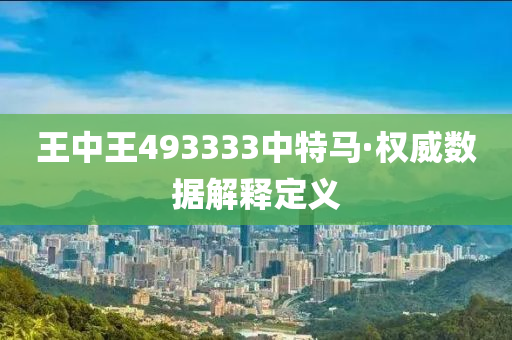 王中王493333中特马·权威数据解释定义